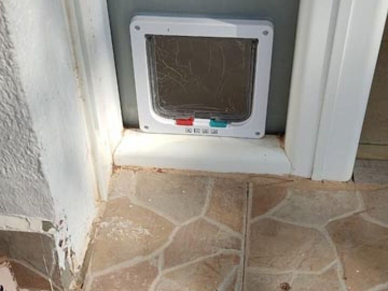 Puerta de cristal con salida para gatos – MACC Cristalería