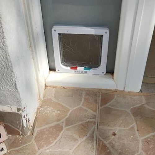Puerta de cristal con salida para gatos – MACC Cristalería