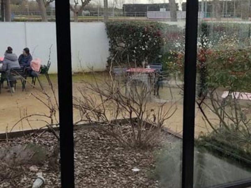 Puerta acristalada para salida a jardín – MACC Cristalería